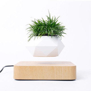 Levitating Plant Pot For Indoor Plants 