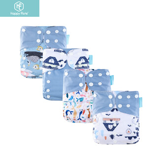 4X Reusable Cloth Nappies With Adjustable Snap Buttons Bundle [Style: Blue Winter]
