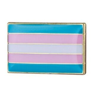 Transgender Flag Lapel Pin Badge Pack of 10