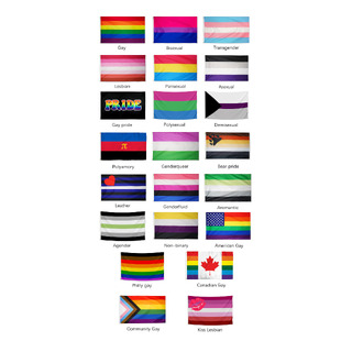Large Progress, Rainbow, Transgender/Bisexual Pride Flag 60x90 or 90x150cm