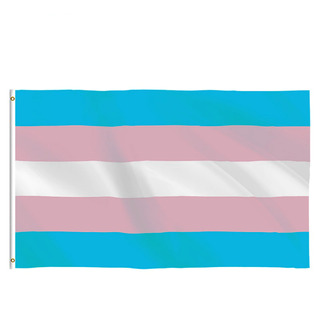 Extra Large Rainbow Pride Flag 90x150cm