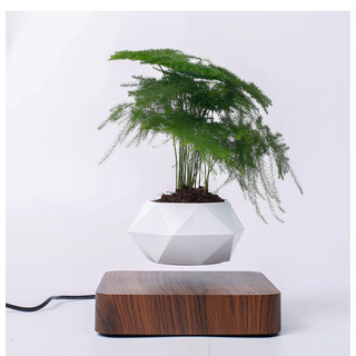 Levitating Plant Pot For Indoor Plants [dark wood]